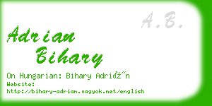 adrian bihary business card